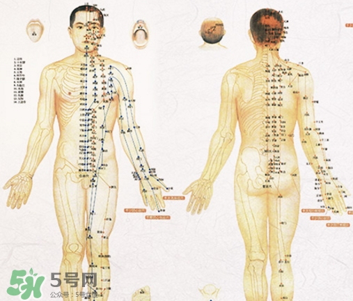 貼三伏貼可以吃西瓜嗎？貼三伏貼吃西瓜有什么害處
