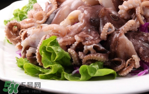 八爪魚是魷魚嗎？八爪魚是章魚嗎