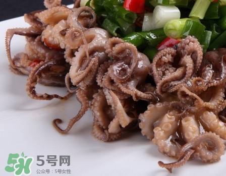 八爪魚怎么做好吃？八爪魚怎么保存