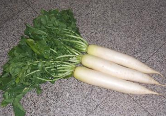 頭伏蘿卜二伏菜是什么意思？頭伏種什么菜？