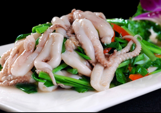 八爪魚(yú)是魷魚(yú)嗎？八爪魚(yú)是章魚(yú)嗎