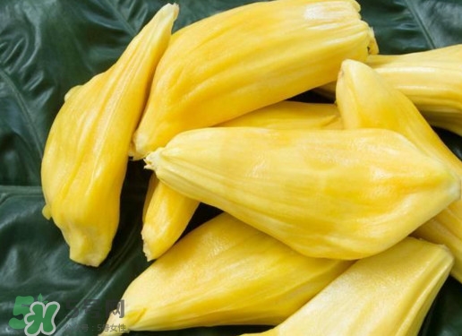 木菠蘿買(mǎi)來(lái)怎么吃？木菠蘿吃多了會(huì)怎樣？