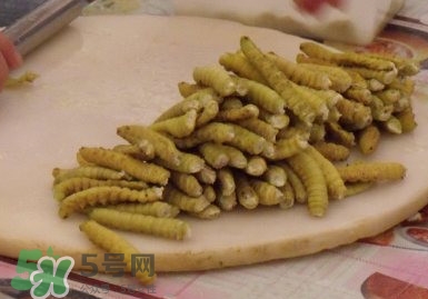 豆丹做菜前怎么處理干凈？豆丹怎么養(yǎng)殖