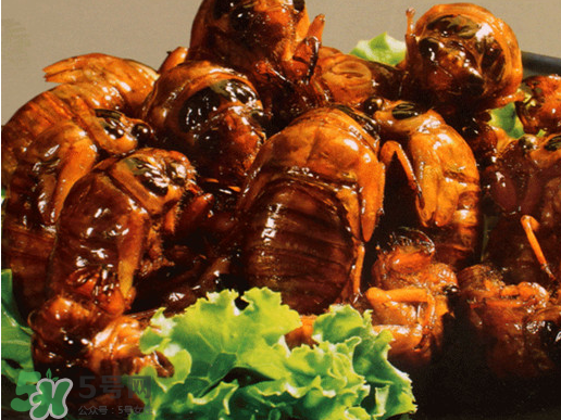 知了猴怎么吃？知了猴什么人不能吃？