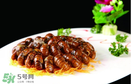 知了猴孕婦可以吃嗎？孕婦能吃知了猴嗎？