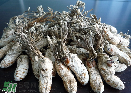 金蟬花多少錢一斤？2017金蟬花價格