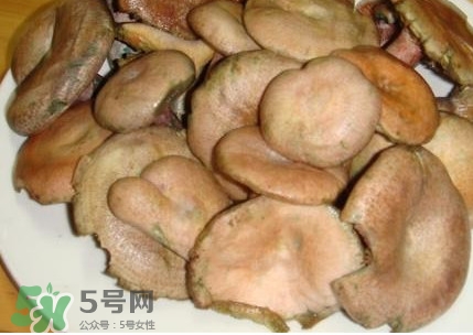 樅樹菌孕婦可以吃嗎？孕婦能吃樅樹菌嗎