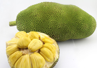 木菠蘿買來怎么吃？木菠蘿吃多了會怎樣？