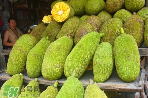 木菠蘿買(mǎi)來(lái)怎么吃？木菠蘿吃多了會(huì)怎樣？