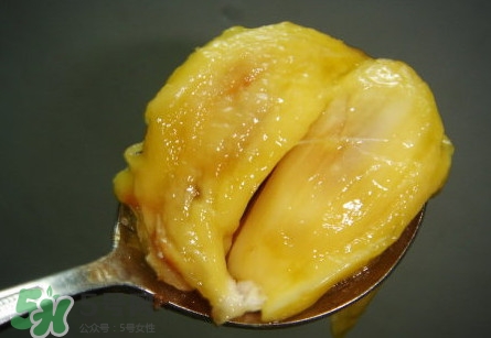 木菠蘿是菠蘿蜜嗎？木菠蘿是榴蓮嗎