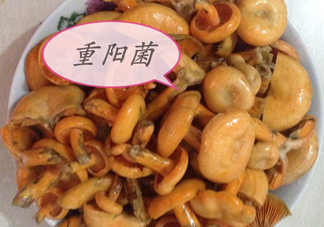 重陽(yáng)菌多少錢(qián)一斤？重陽(yáng)菌怎么清洗