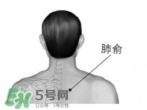 三伏貼能治過敏性鼻炎嗎？三伏貼治過敏性鼻炎貼哪里？
