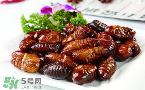 蟬蛹可以人工養(yǎng)殖嗎？蟬蛹的養(yǎng)殖方法
