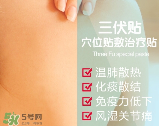 三伏貼能治哮喘嗎？三伏貼治哮喘貼哪里哪個穴位？