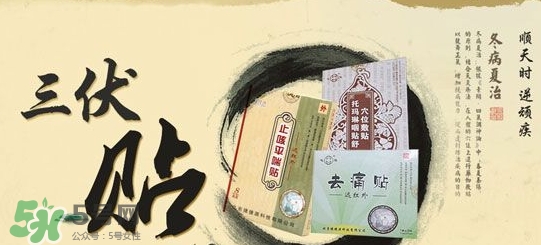 貼三伏貼掛什么科？三伏貼掛什么號(hào)？