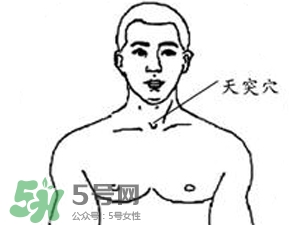 三伏貼能治過敏性鼻炎嗎？三伏貼治過敏性鼻炎貼哪里？