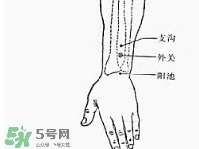 三伏貼能治過敏性鼻炎嗎？三伏貼治過敏性鼻炎貼哪里？