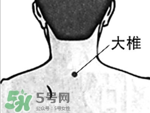 三伏貼能治過敏性鼻炎嗎？三伏貼治過敏性鼻炎貼哪里？