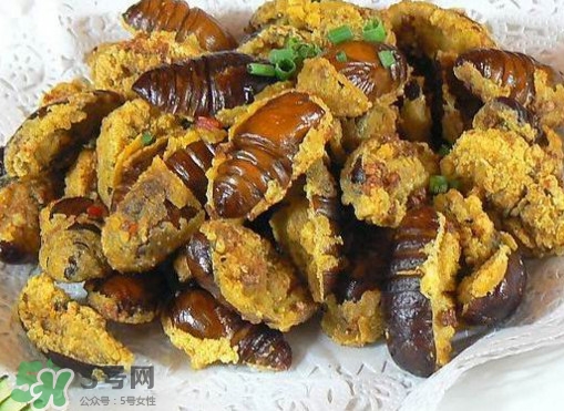 水煮蟬蛹怎么做？蟬蛹煮多久可以熟？