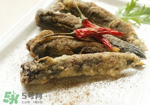 彈涂魚(yú)是兩棲動(dòng)物嗎？彈涂魚(yú)營(yíng)養(yǎng)價(jià)值有哪些