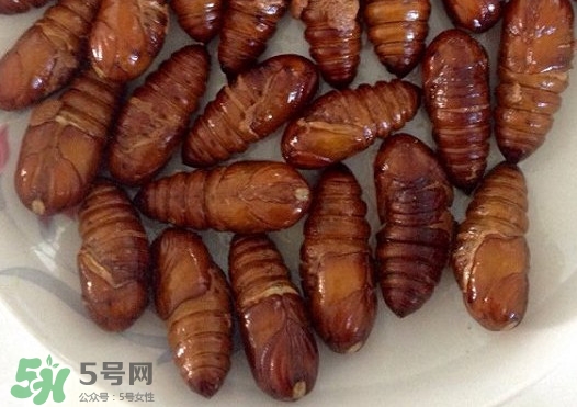 蟬蛹吃什么部位？蟬蛹都有哪些營養(yǎng)價值