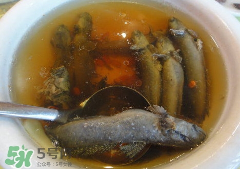 跳跳魚多少錢一斤？跳跳魚是淡水魚嗎？