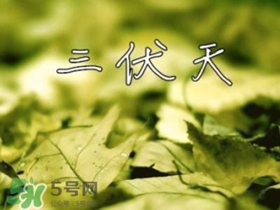 三伏天怎么坐月子？三伏天坐月子要注意什么？