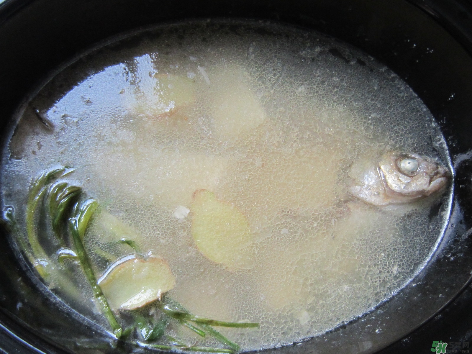 三伏灸可以吃魚(yú)嗎？三伏灸可以吃什么魚(yú)？