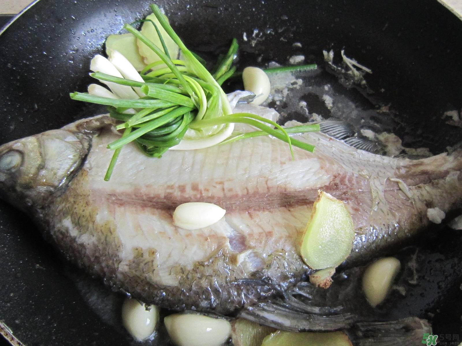 三伏灸可以吃魚(yú)嗎？三伏灸可以吃什么魚(yú)？