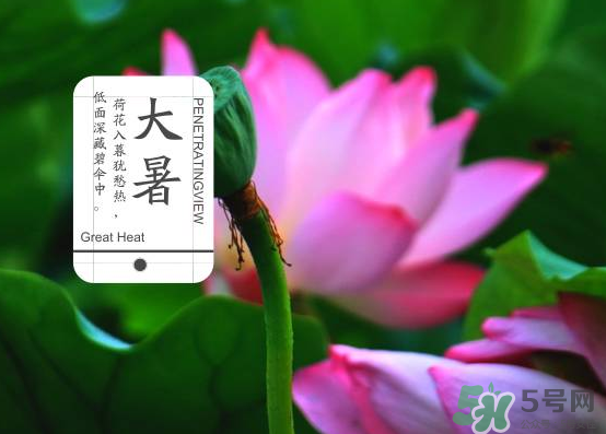 大暑和處暑是什么意思？大暑熱還是處暑熱？