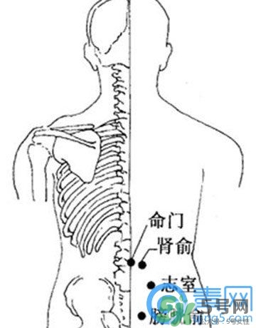 三伏灸可以治腰腿痛嗎？三伏灸治腰腿痛灸哪里》