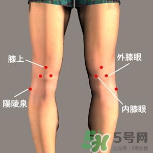 三伏灸可以治腰腿痛嗎？三伏灸治腰腿痛灸哪里》