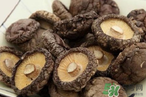 香菇是蘑菇嗎？香菇和蘑菇有什么區(qū)別