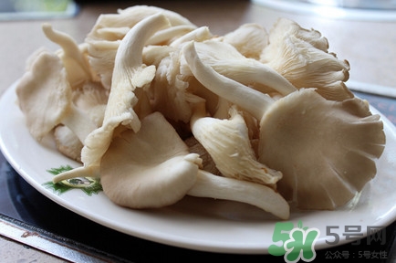 平菇怎么吃最有營養(yǎng)？平菇長白毛還能吃嗎