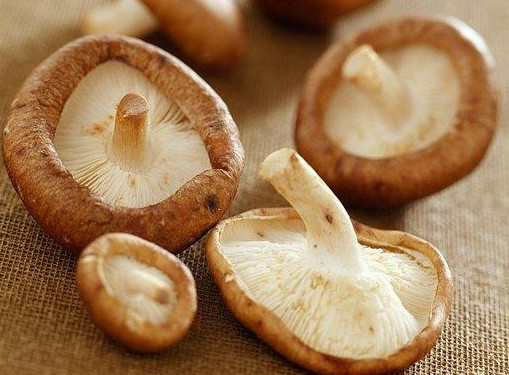 干香菇為什么比鮮香菇味道好？香菇為什么要曬干了再泡來(lái)吃