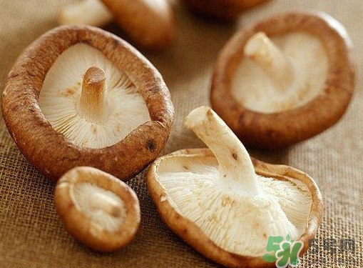 買香菇怎么挑選？干香菇怎么挑選？