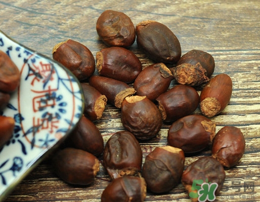 龍眼核能種嗎？龍眼核怎么種盆栽