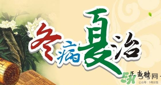 三伏灸要灸幾次？三伏灸要灸多久？