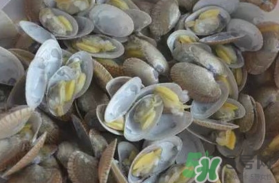 花蛤蜊什么時候最肥？花蛤蜊怎么挑選