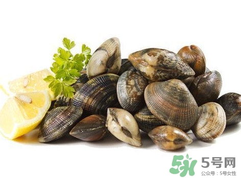 白蛤蜊和花蛤蜊哪個(gè)泥沙多？花蛤蜊怎么清洗干凈