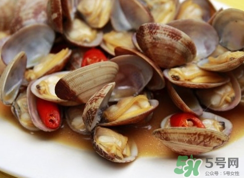 花蛤如何快速吐沙子？花蛤吐沙鹽水比例多少？