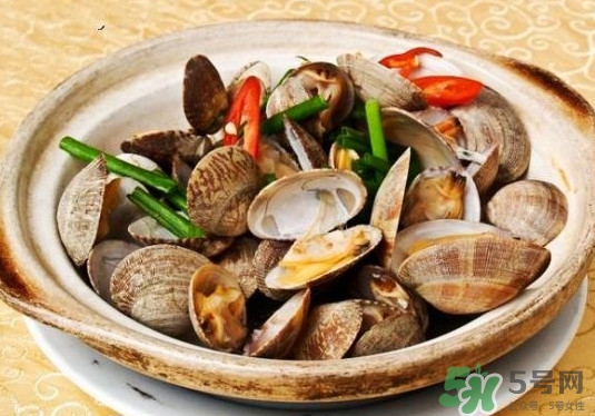 花蛤如何快速吐沙子？花蛤吐沙鹽水比例多少？