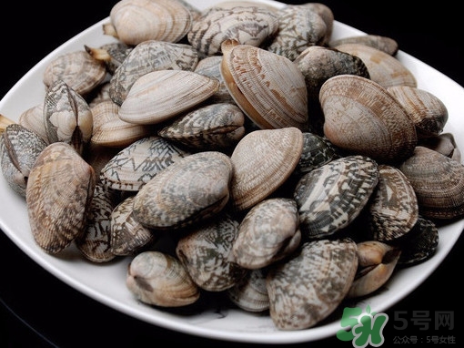 花蛤如何快速吐沙子？花蛤吐沙鹽水比例多少？