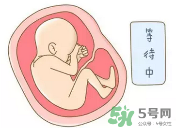 胎位不正能順產(chǎn)嗎？胎位不正怎么辦？