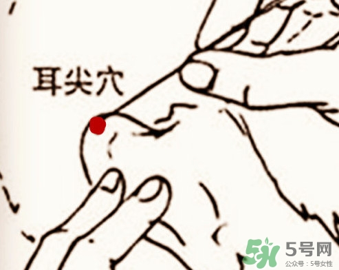什么是放血療法？放血療法能治什么病