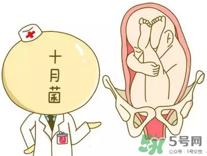 胎位不正能順產(chǎn)嗎？胎位不正怎么辦？