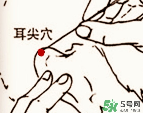 什么人不能做放血療法？放血療法有什么功效？