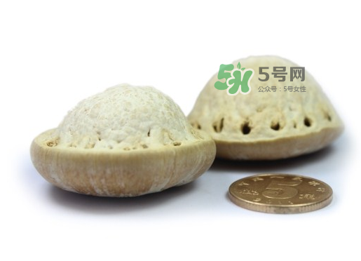 風(fēng)流果泡酒要不要敲碎？壯陽果泡水要不要敲碎？
