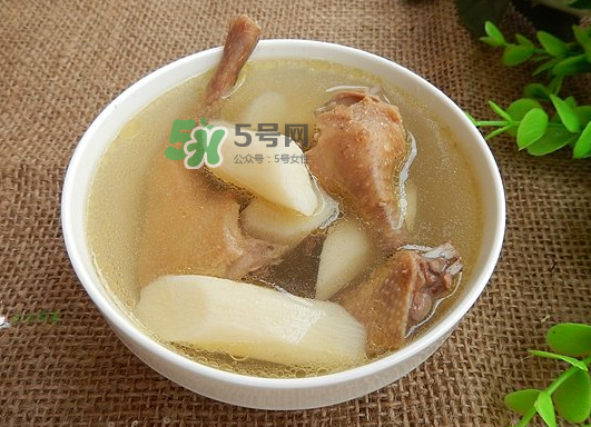 三伏天能吃鴿子嗎？三伏天能喝鴿子湯嗎？