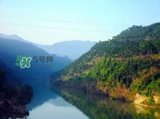 漂流需要準(zhǔn)備什么東西？漂流哪里最好玩？